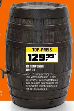 OBI Regentonne braun Angebot