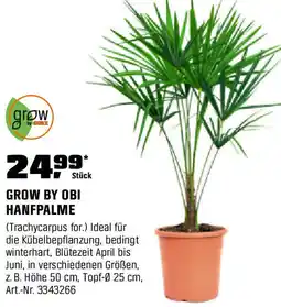 OBI Hanfpalme Angebot