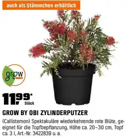 OBI Zylinderputzer Angebot