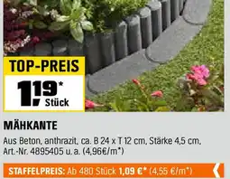 OBI Mähkante Angebot