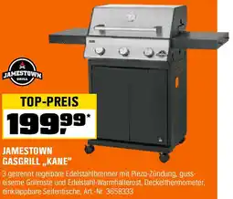 OBI Gasgrill kane Angebot