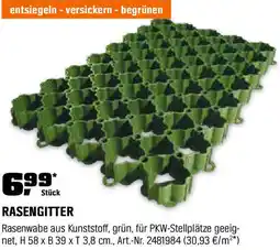 OBI Rasengitter Angebot