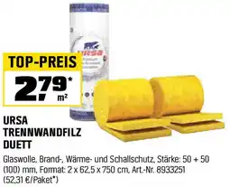 OBI Trennwandfilz duett Angebot