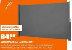 OBI Seitenmarkise livingston Angebot