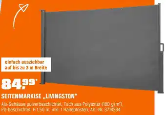 OBI Seitenmarkise livingston Angebot