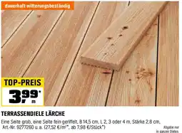 OBI Terrassendiele lärche Angebot