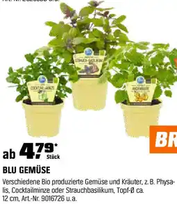 OBI Blu gemüse Angebot