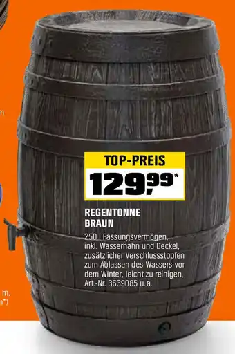 OBI Regentonne braun Angebot