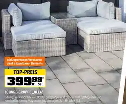 OBI Lounge-gruppe olea Angebot