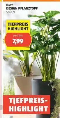 Hofer BELAVI DESIGN PFLANZTOPF Angebot