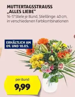 Hofer MUTTERTAGSTRAUSS „ALLES LIEBE“ Angebot
