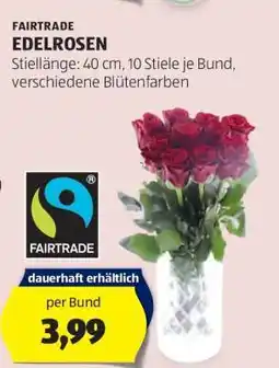Hofer FAIRTRADE EDELROSEN Angebot