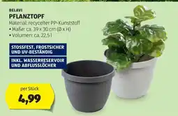 Hofer BELAVI PFLANZTOPF Angebot
