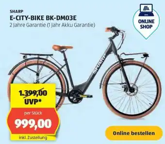 Hofer E-CITY-BIKE BK-DM03E Angebot