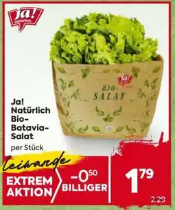 Billa Ja! Natürlich Bio-Batavia-Salat Angebot