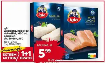 Billa Iglo Wildlachs, Kabeljau Naturfilet, MSC od. Garnelen div. Sorten, ASC Angebot