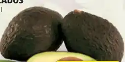 Hofer Hofer Marktplatz Avocados Angebot