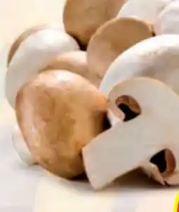 Hofer Zurück zum Ursprung Bio-Champignons Angebot