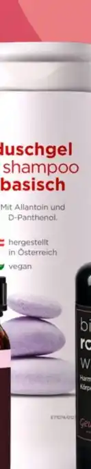 Prokopp Gewusst Wie Basen Shampoo-Duschgel Angebot