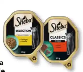 Unimarkt Sheba Schalen Angebot