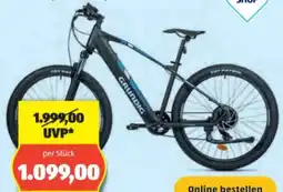 Hofer Grundig E-Mountainbike HT Angebot
