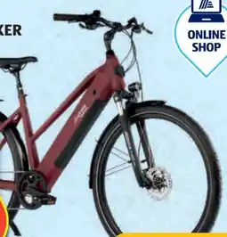Hofer Prophete E-Bike Entdecker 2.3 Angebot