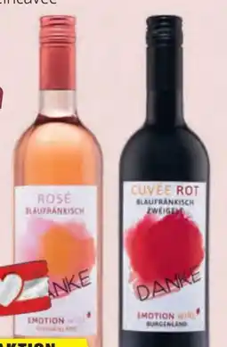 Hofer Danke Rose Blaufränkisch Angebot