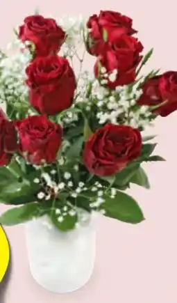 Hofer Rosenbouquet Angebot