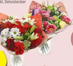 Hofer Muttertagsstrauss Wahre Heldin Angebot