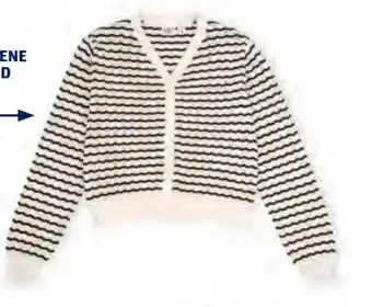 Hofer Up 2 Fashion Damen Pullover Angebot
