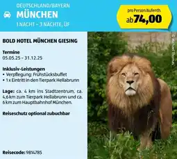 Hofer Reisen Bold hotel münchen giesing Angebot