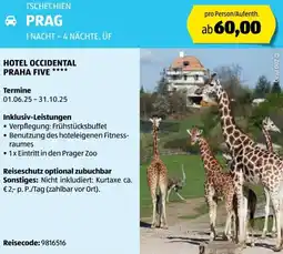 Hofer Reisen Hotel occidental praha five Angebot