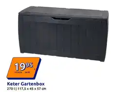Action Keter Gartenbox Angebot