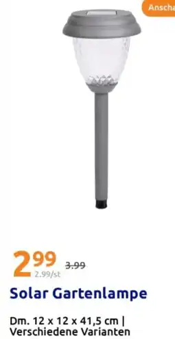 Action Solar Gartenlampe Angebot