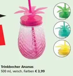 Pagro Diskont Trinkbecher Ananas Angebot