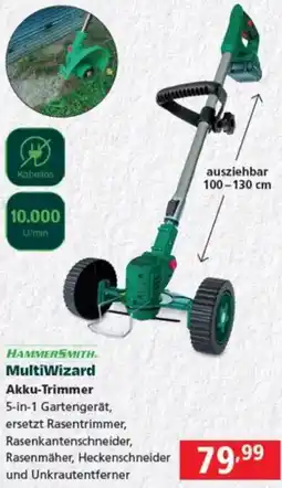 Pagro Diskont MultiWizard Akku-Trimmer Angebot