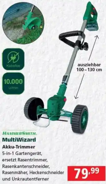 Pagro Diskont MultiWizard Akku-Trimmer Angebot