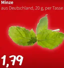 Der Grissemann Minze Angebot