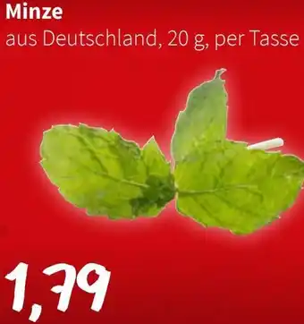 Der Grissemann Minze Angebot