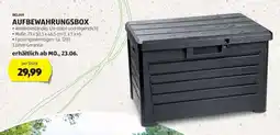 Hofer Aufbewahrungsbox Angebot