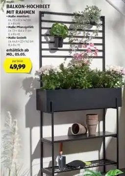 Hofer BALKON-HOCHBEET MIT RAHMEN Angebot