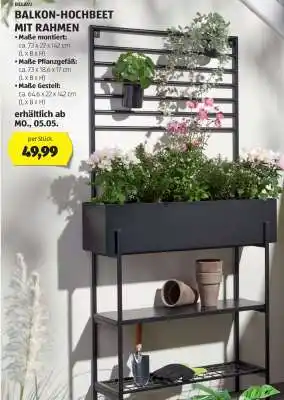 Hofer BALKON-HOCHBEET MIT RAHMEN Angebot