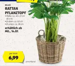 Hofer RATTAN PFLANZTOPF Angebot