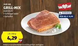 Hofer FAIR HOF GRILL-MIX Angebot