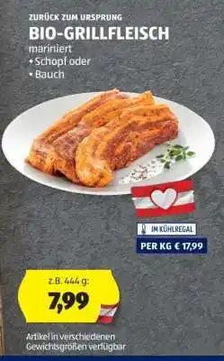 Hofer BIO-GRILLFLEISCH Angebot