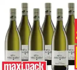 Maximarkt Pfaffl Bockfliess Grüner Veltliner Angebot