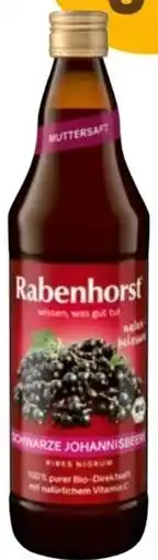 Martin Reformstark Ohwarze johannisbee Angebot