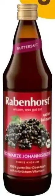 Martin Reformstark Ohwarze johannisbee Angebot