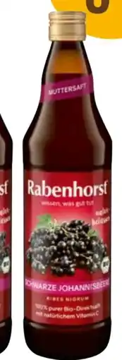 Martin Reformstark Rabenhorst Schwarze Johannisbeere Angebot