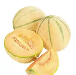 Metro Zuckermelonen Angebot